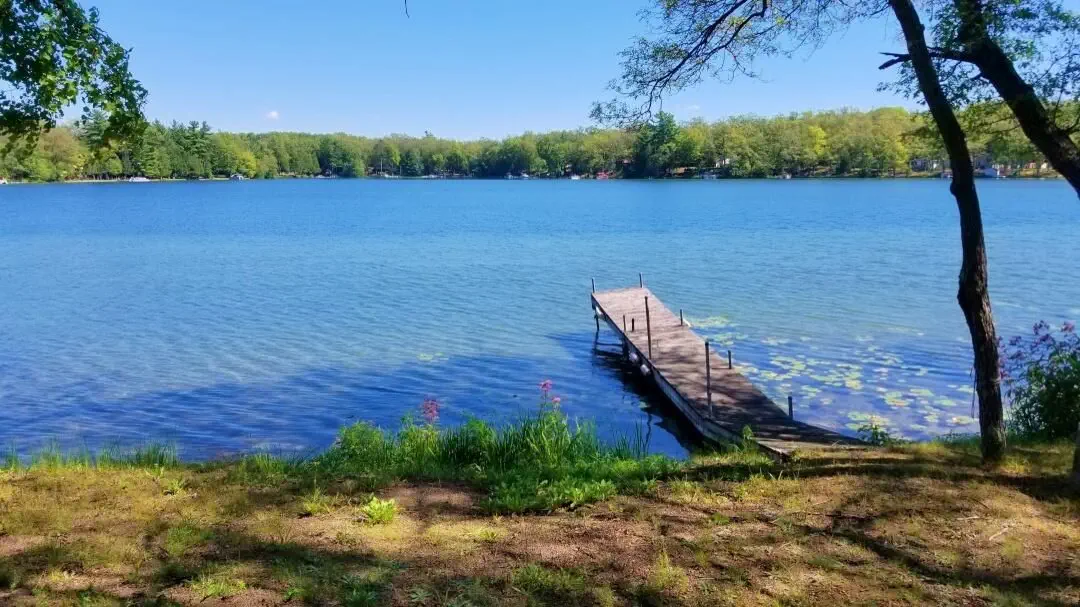dock on lake in summer